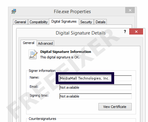 Screenshot of the MediaMall Technologies, Inc. certificate